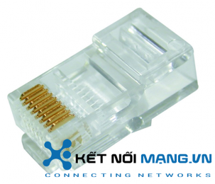 Đầu mạng RJ45 DINTEK UTP Cat.5e, chuyên dụng cho ngành mạng với khả năng truyền tải internet tốc độ cao
