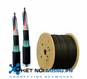 Cáp quang dùng cả trong nhà/ngoài trời,loại Loose Tube,đa mốt,OM3,50/125um,48 lõi quang,vỏ đơn PE,có giáp bảo vệ đơn,màu đen