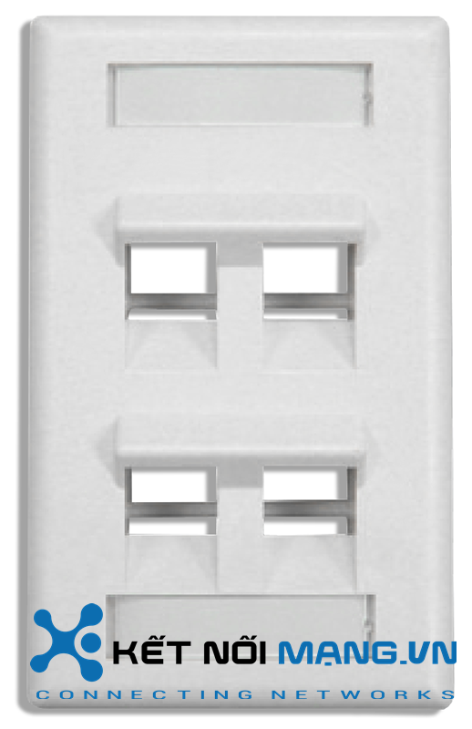 DINTEK 4 Port Angled Wall Plate US Style (White)